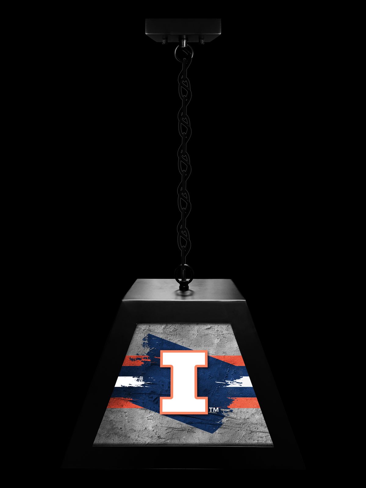 University of Illinois Pendant Box Light 3 University of Illinois Pendant Box Light - Image 3