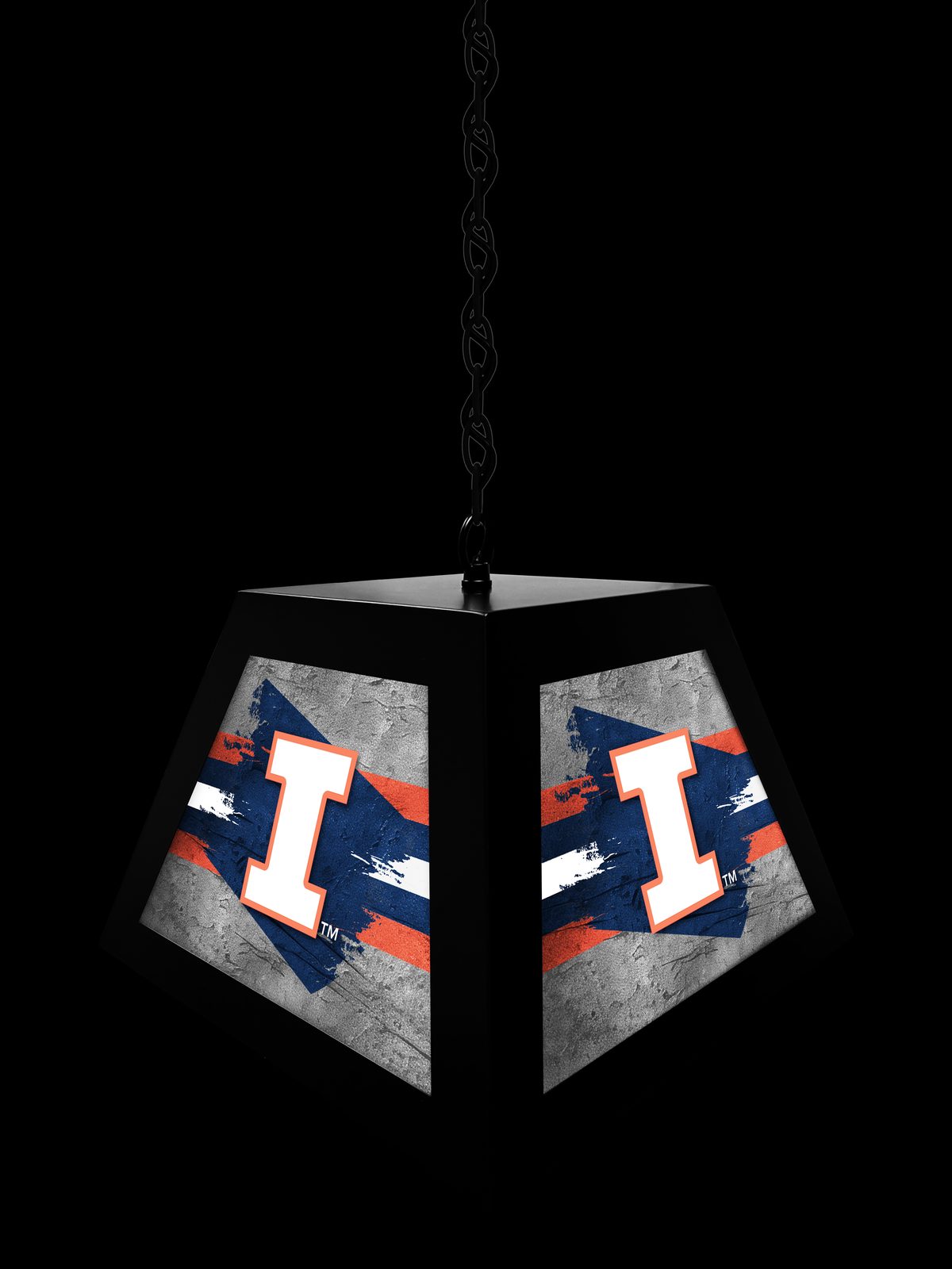 University of Illinois Pendant Box Light 4 University of Illinois Pendant Box Light - Image 4