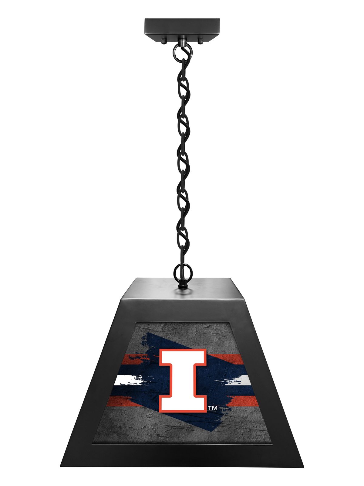 University of Illinois Pendant Box Light 1 University of Illinois Pendant Box Light