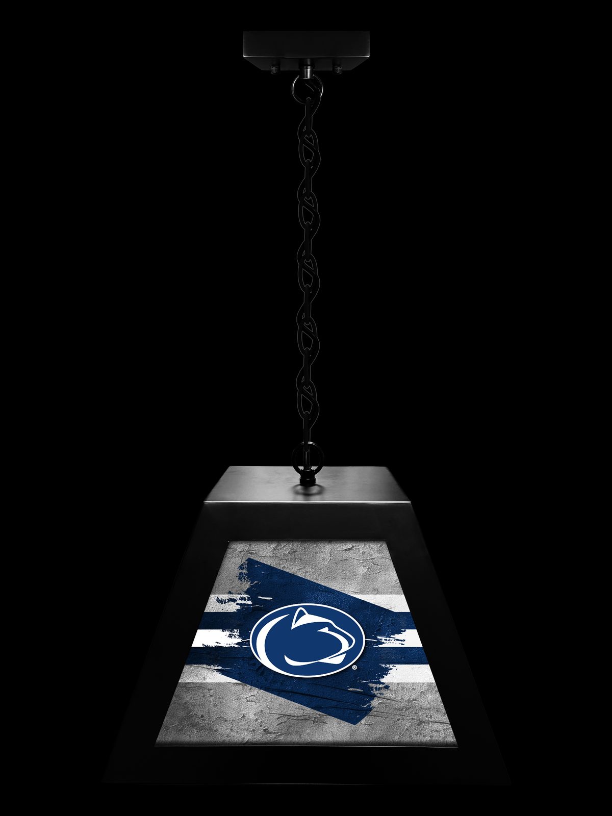 Pennsylvania State University Pendant Box Light 3 Pennsylvania State University Pendant Box Light - Image 3
