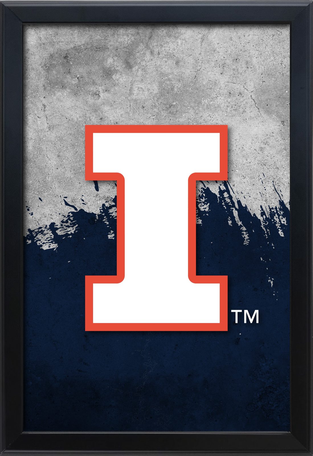 University of Illinois 16x24 Snapframe Lightbox 1 University of Illinois 16x24 Snapframe Lightbox
