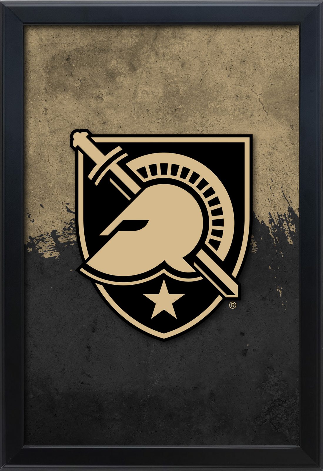 US Military Academy 16x24 Snapframe Lightbox 1 US Military Academy 16x24 Snapframe Lightbox